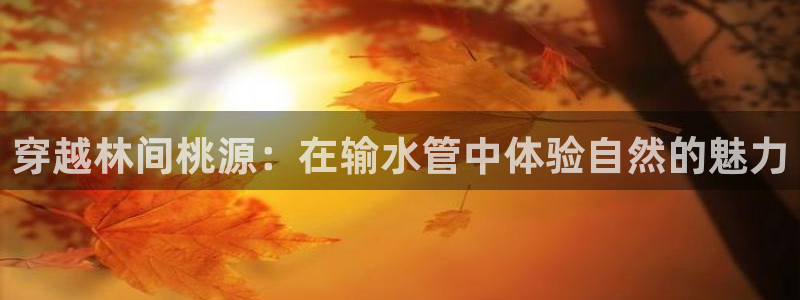 天辰娱乐链接