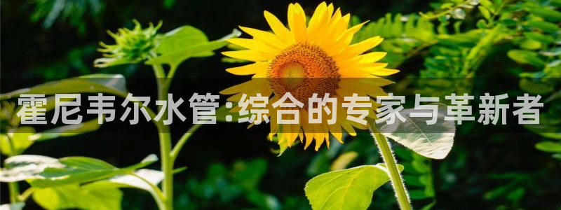 天辰娱乐61116