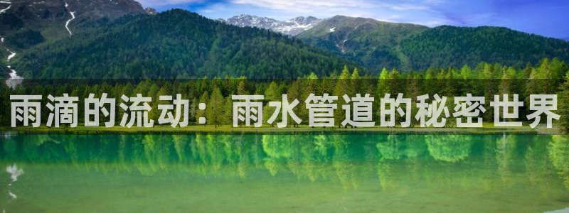天辰娱乐1966