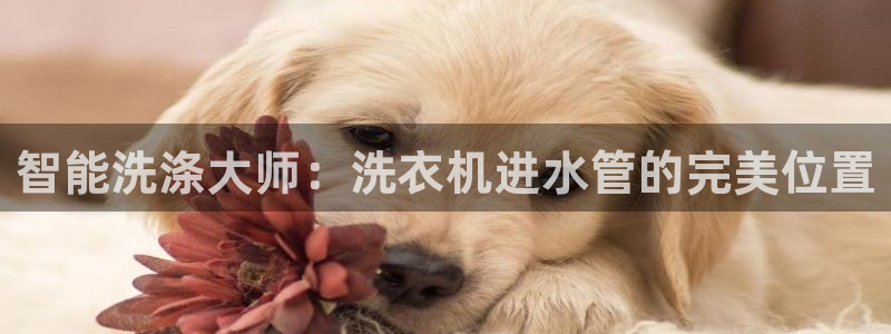 天辰 娱乐 注册