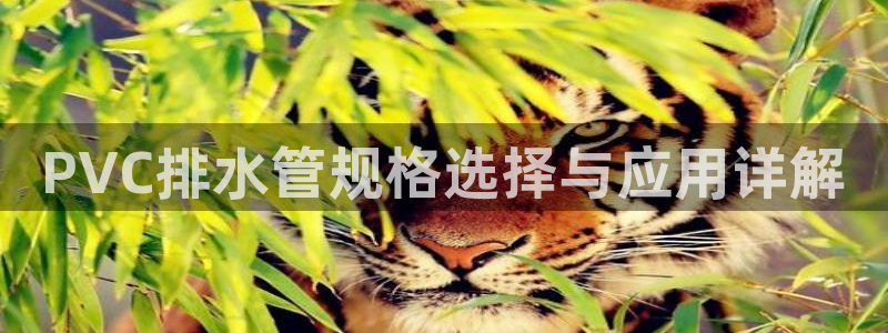天辰娱乐 天辰平台