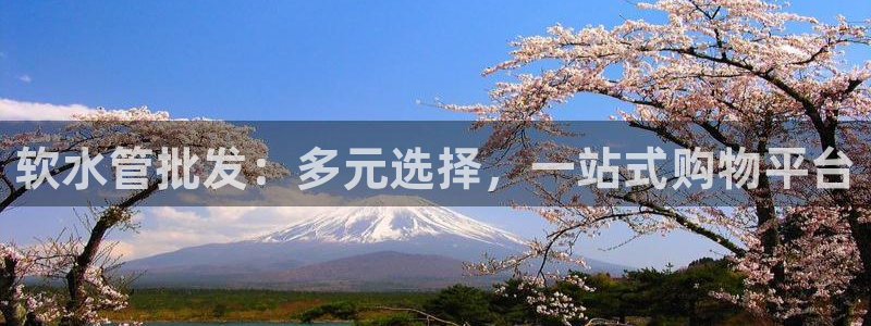 天辰娱乐官方网