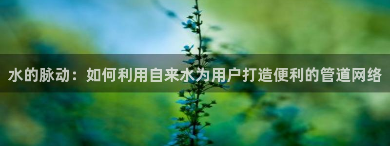 天辰宝娱乐