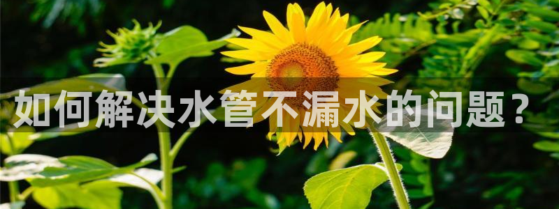 大庆天辰娱乐