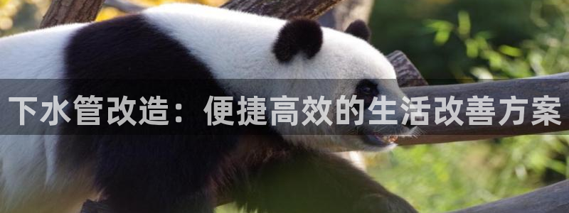 天辰娱乐台湾