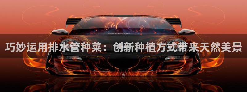 天辰娱乐鱼刺