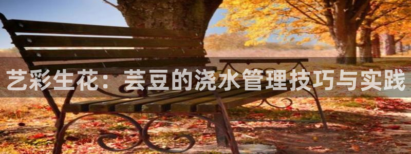 天辰 娱乐 注册