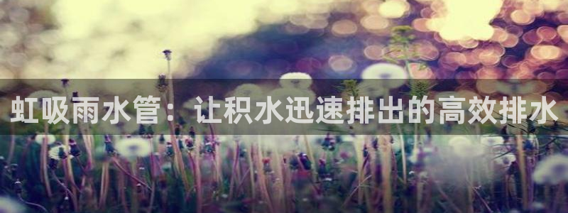 天辰娱乐平台地址在哪里