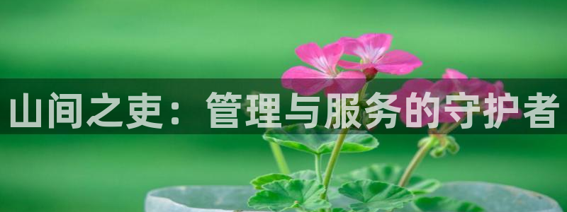 天辰娱乐官方网