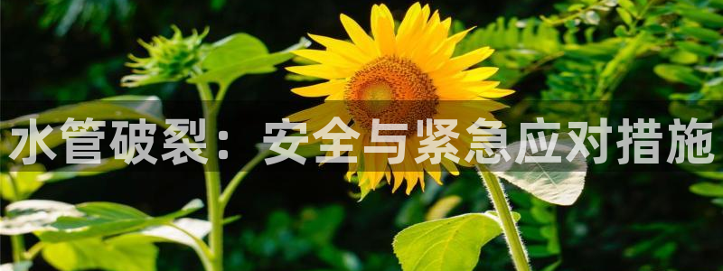 天辰娱乐平台安全吗