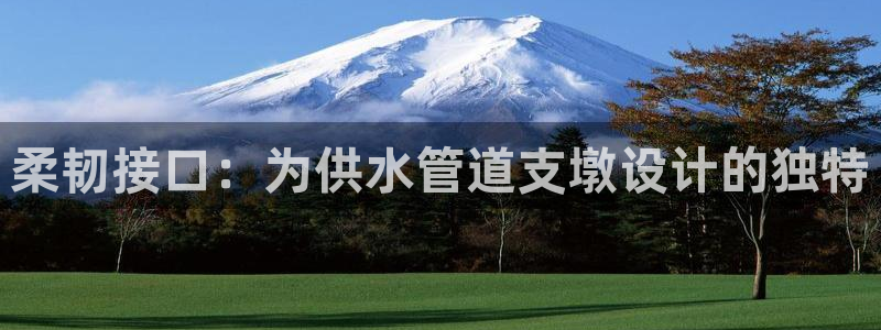 天辰娱乐游戏平台怎么样