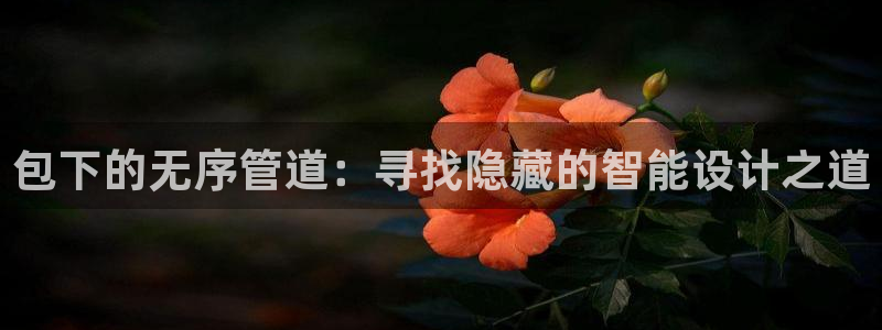 天辰娱乐登录网址