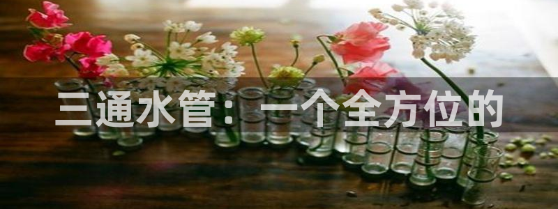 天辰娱乐平台地址在哪里