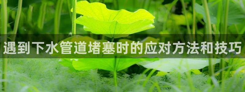 深圳天辰娱乐