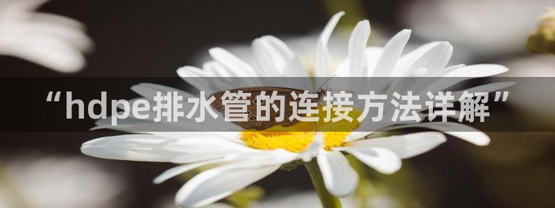 天辰娱乐文化