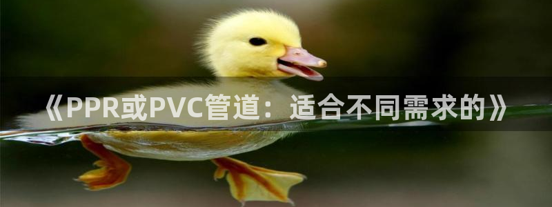 桂林天辰娱乐