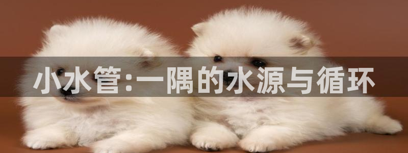 常州天辰娱乐