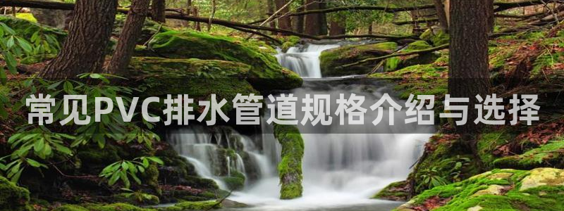天辰娱乐ttf
