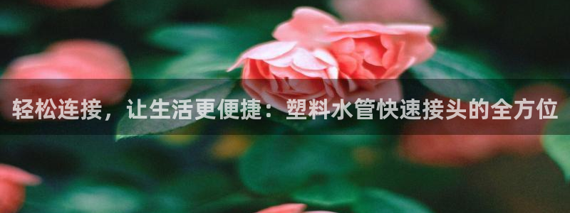天辰娱乐1980