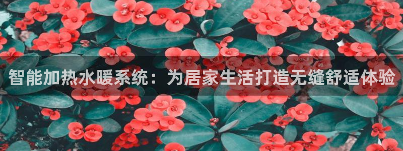 天辰团队贝高娱乐