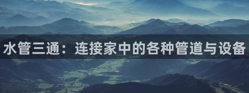 天辰娱乐小妹