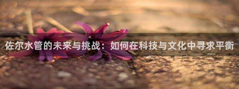 天辰娱乐平台入口