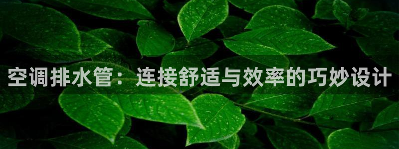 天富娱乐天辰娱乐