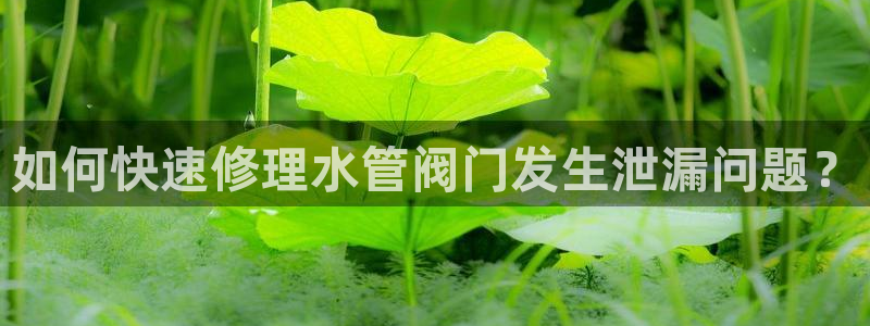 天辰娱乐网址娱乐游戏